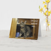 Kimber Kitten dans la carte de fête des mères en c (Fleur jaune)