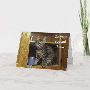 Kimber Kitten in de Moederdag Kaart