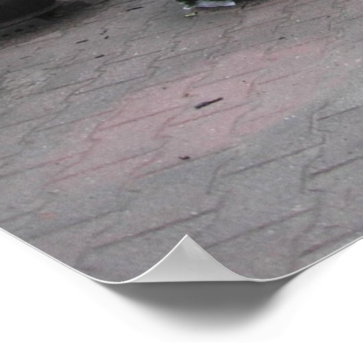 Kimchi Pots Poster (Hoek)