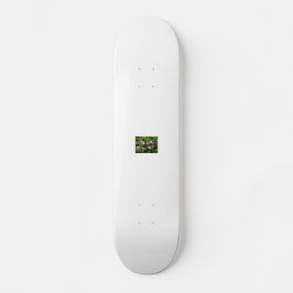 kinafex homepage zazzle.com en marktplaats skateboard