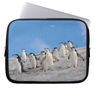 kinbandpinguïns   Pygoscelis Antarctica Laptop Sleeve
