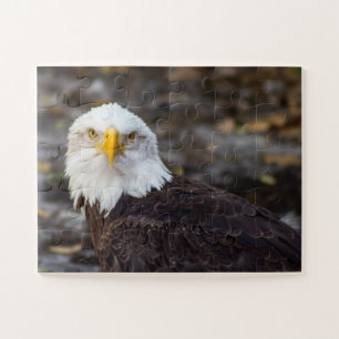Kind Edition American Eagle Jigzaag Puzzle Legpuzzel