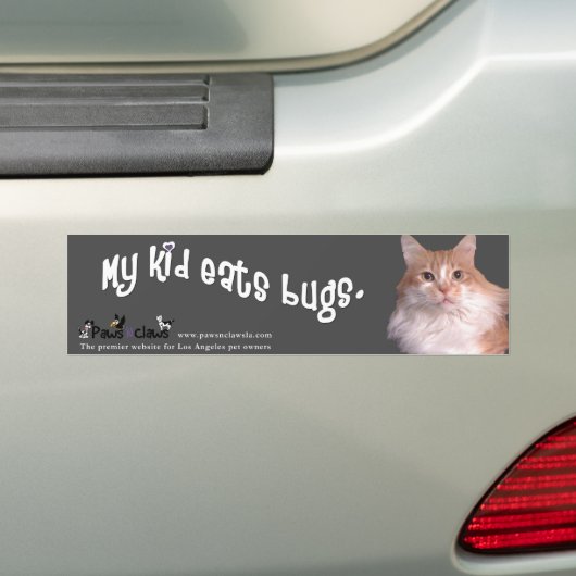 "Kind eet bugs" Kat Bumpersticker (Op auto)