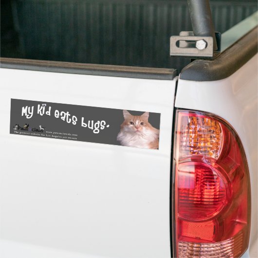 "Kind eet bugs" Kat Bumpersticker (Op Truck)