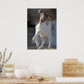 Kind Geitenspelen Poster (Keuken)