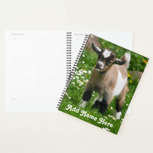 Kind gepersonaliseerd Pygmy Dwarf Goat Planner (Display)