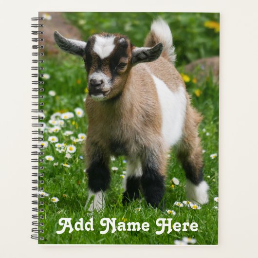 Kind gepersonaliseerd Pygmy Dwarf Goat Planner (Voorkant)