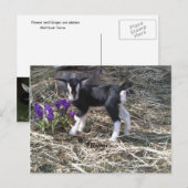 Kind met de naam VloerBriefkaart Briefkaart (Voorkant / Achterkant)