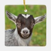 Kind Pygmy Pet Goat Keramisch Ornament (Voorkant)