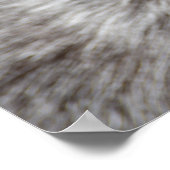 Kind Pygmy Pet Goat Poster (Hoek)