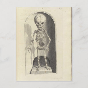 Kind Skeleton Briefkaart