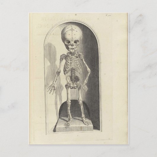 Kind Skeleton Briefkaart (Voorkant)