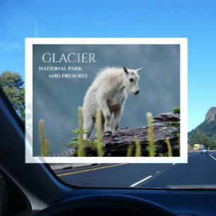 Kind van berggeit op Cliff, Nationaal Park Glacier Briefkaart