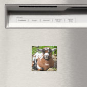 Kind van schattig Baby Magneet (Insitu (Vaatwasser))