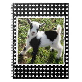 Kind van zwarte en witte poka Dot Nigerian Dwarf G Notitieboek