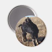 Kind voor zwart en tan magneet (Voorkant / Achterkant)