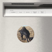 Kind voor zwart en tan magneet (Insitu (Vaatwasser))