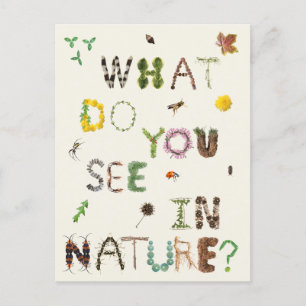 Kinder Naturalist Natuur Explorers Briefkaart