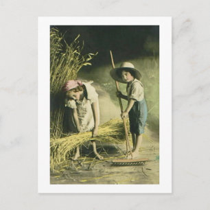 Kinder Raking Hay 1903  Handgekleurd Briefkaart