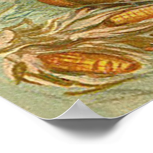 Kinderen die pomkins Turkey Haystack Corn Poster (Hoek)