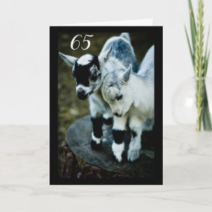 KINDEREN ZIJN VERBAASD DAT JE **65** KAART DRAAIT