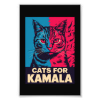 Kinderloze Kat Lady Stemt Kamala Harris 2024