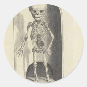 Kinderskelet Ronde Sticker