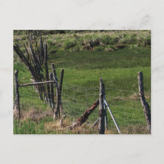 Kindertijd I Briefkaart (Voorkant)