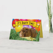 Kinderverjaardagsfeest met cavia's (Voorkant)