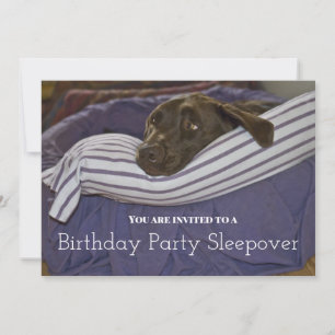 Kinderverjaardagsfeestje Slaperige Hond Slapen Kaart