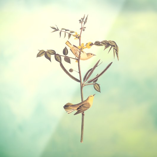 Kindervogel Raamsticker (Vel 3)