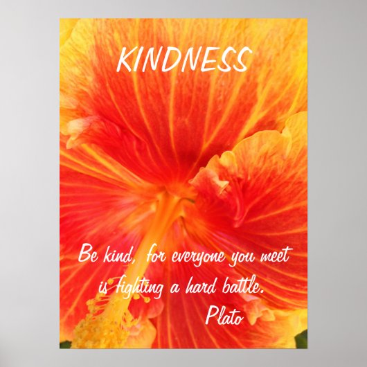 Kindness Inspirerend Poster Quote Plato Hibiscus (Voorkant)