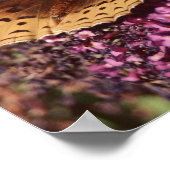 Kindness Is The Language Poster (Hoek)