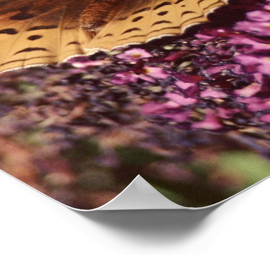 Kindness Is The Language Poster (Hoek)