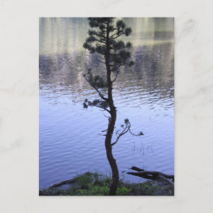 Kindness Matters Briefkaart