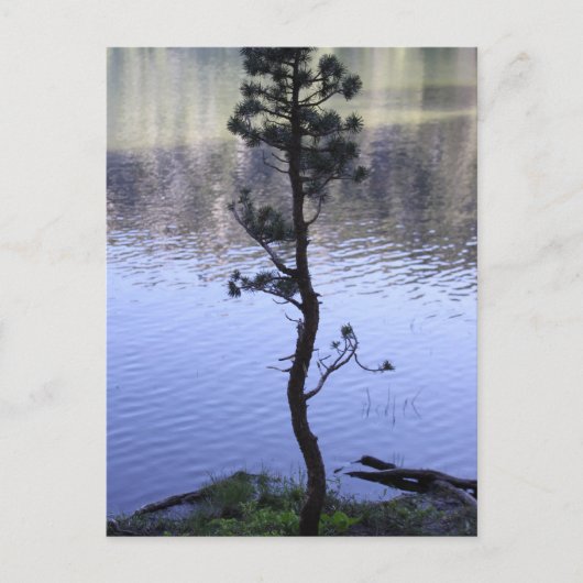 Kindness Matters Briefkaart (Voorkant)