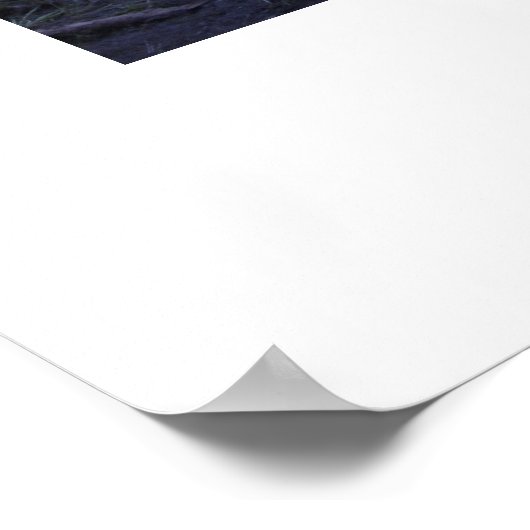 Kindness Matters Poster (Hoek)