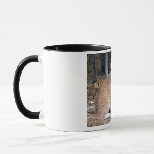 Kindness Orange Tabby Cat 11 oz Mug (Gauche)