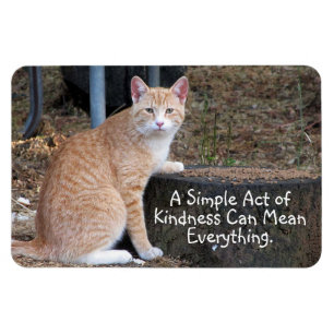 Kindness Oranje Tabby Cat Magnet Magneet