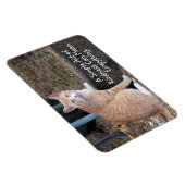 Kindness Oranje Tabby Cat Magnet Magneet (Rechterzijde)