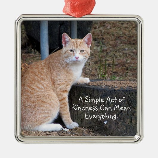 Kindness Oranje Tabby Cat Ornament (Voorkant)