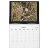 Kindvrije en overbevolkte offertes kalender (Feb 2026)