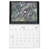 Kindvrije en overbevolkte offertes kalender (Mar 2026)