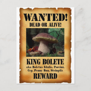 King Bolete - Gezochte Dood of Alive Briefkaart