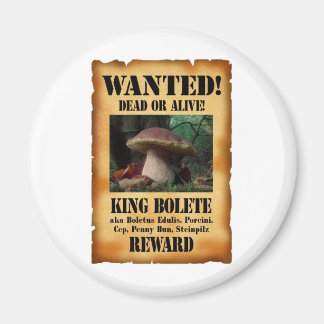 King Bolete - Gezochte Dood of Alive Magneet