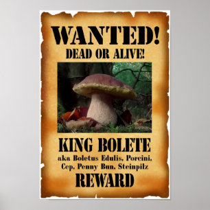 King Bolete - Gezochte Dood of Alive Poster