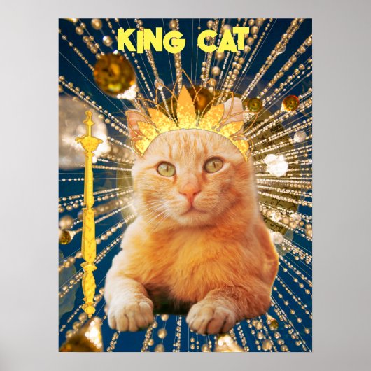 King Cat Funny Poster Animaux domestiques et anima (Devant)