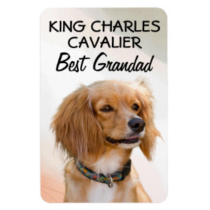 King Charles Cavalier Best Grandad Magnet Magneet