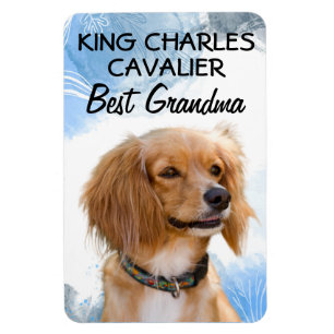 King Charles Cavalier Best Grandma Magnet Magneet