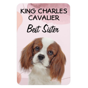 King Charles Cavalier Best Sister Magneet